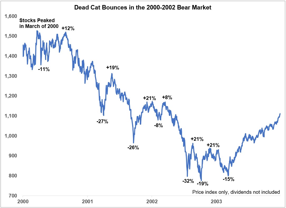 Bear Market: Which Players' Stocks Rose or Fell After Preseason